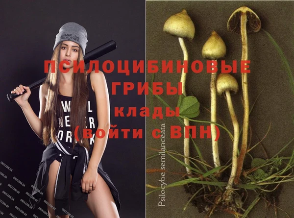 МДПВ Сосновка
