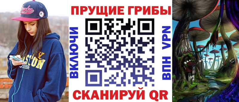 omg ONION  Перевоз  Галлюциногенные грибы мицелий  купить наркотики цена 