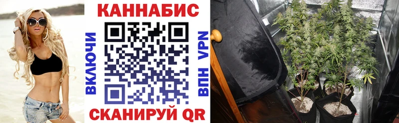 МАРИХУАНА White Widow  Перевоз 